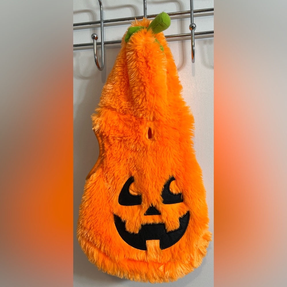Jack-o-lantern Pet Costume 5/$25